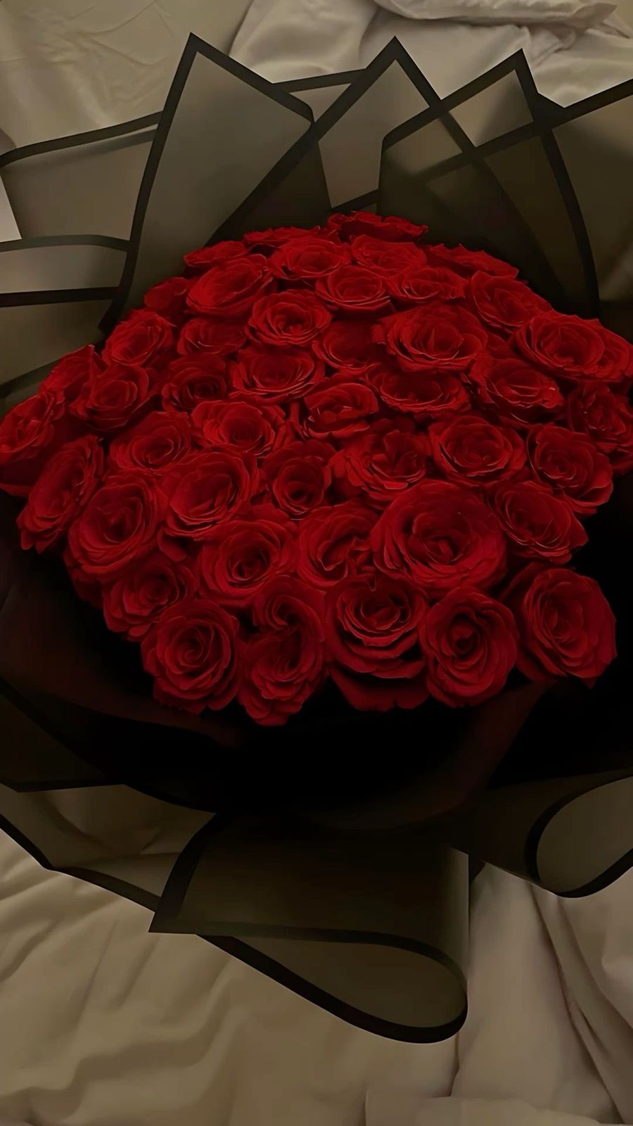 Rosas de fondo